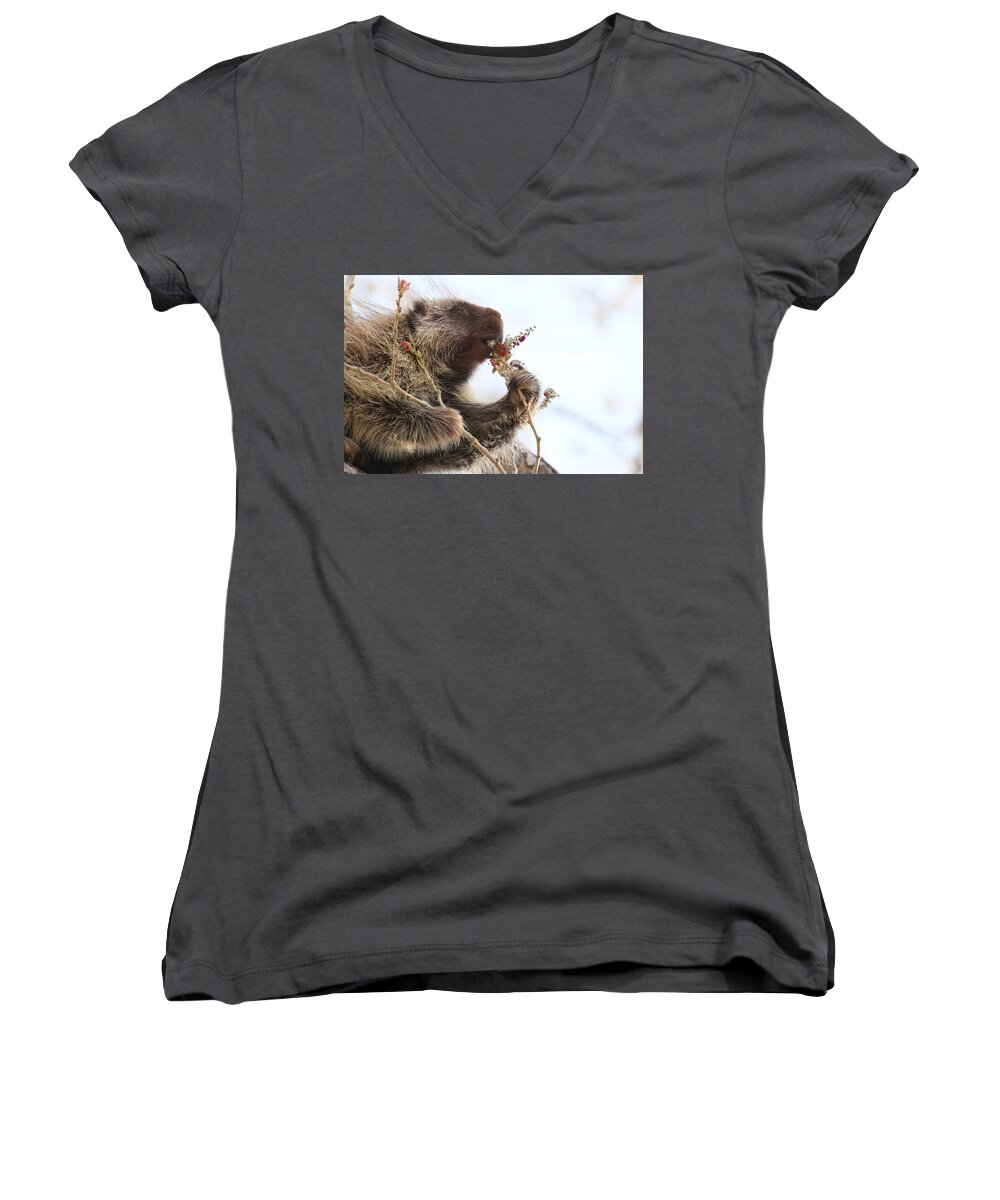 This One Is E X Q U I S I T E! Women's V-Neck featuring the photograph This one is E X Q U I S I T E by Alyce Taylor