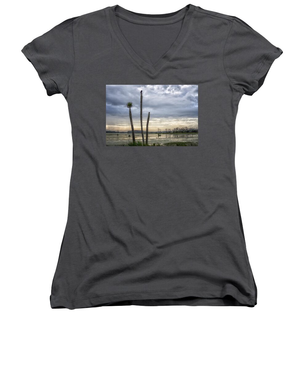 Crystal Yingling Women's V-Neck featuring the photograph Three Sticks by Ghostwinds Photography