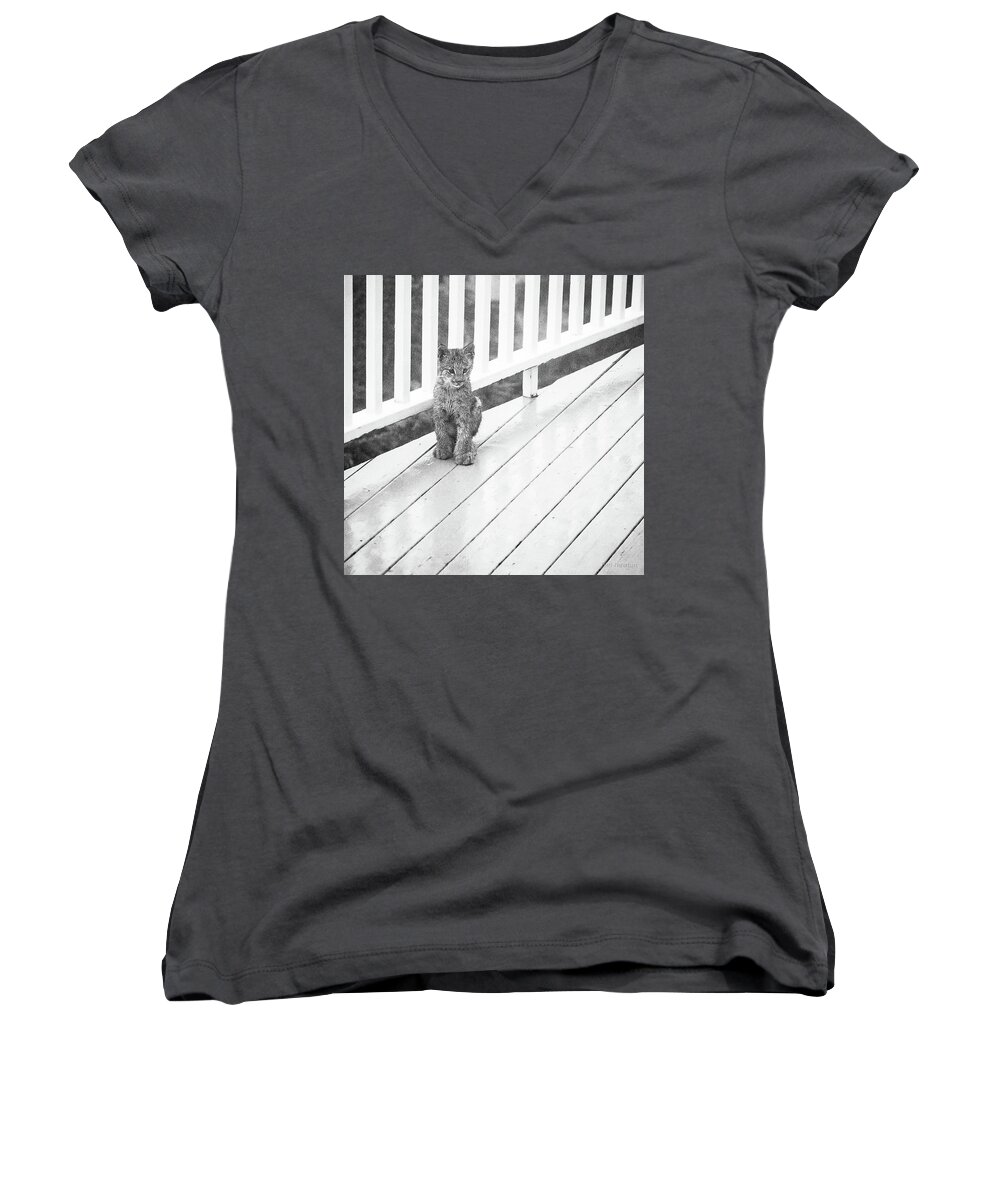 Lynx Women's V-Neck featuring the photograph Time Out BW by Tim Newton