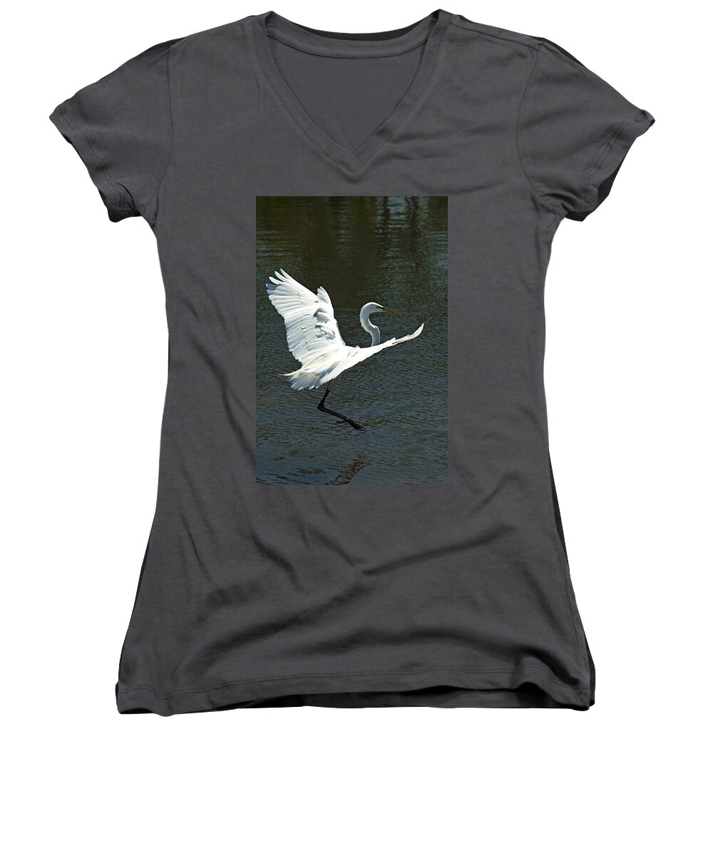 Great White Egret Women's V-Neck featuring the photograph Time To Land by Carolyn Marshall