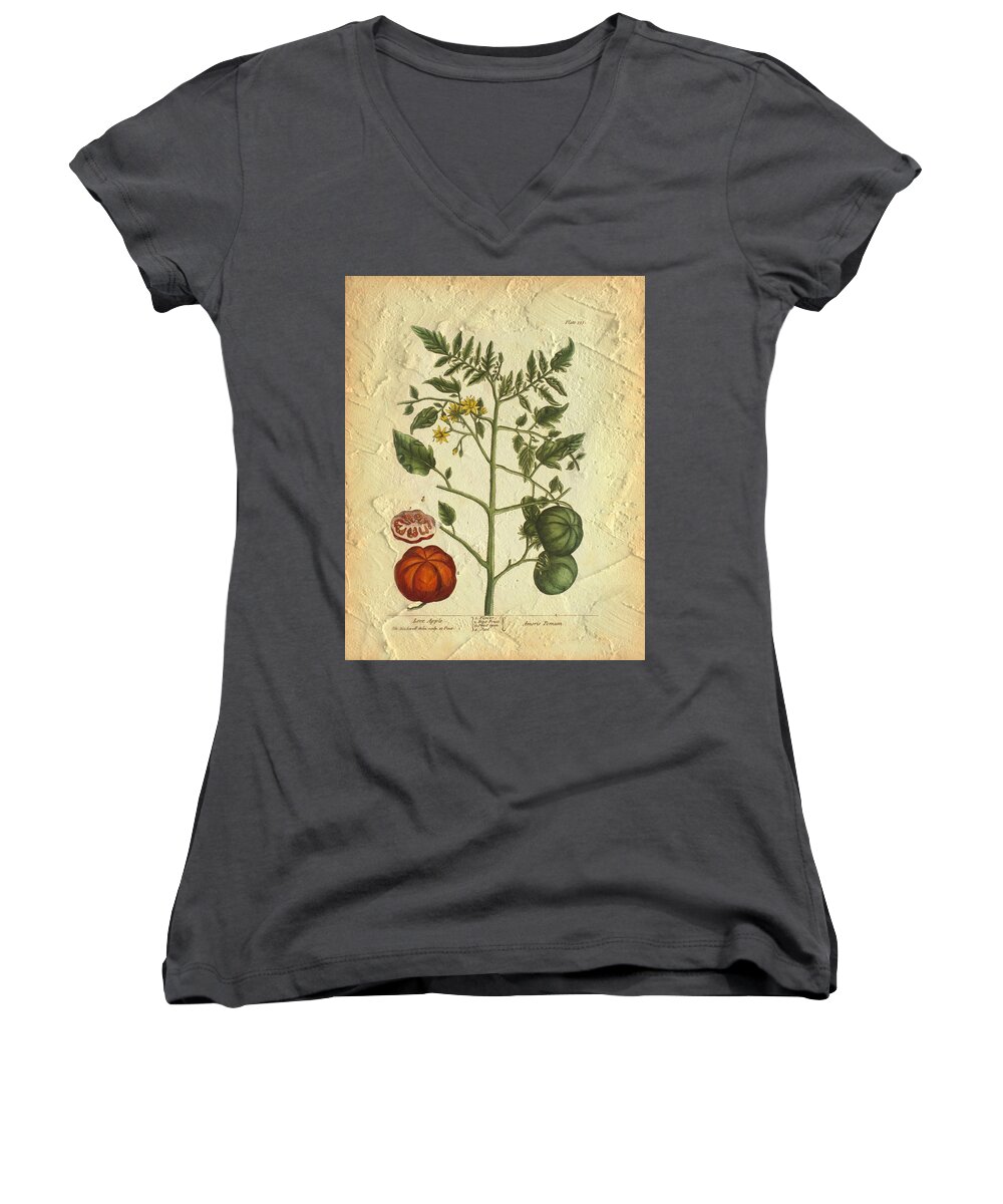 Tomato Women's V-Neck featuring the photograph Tomato Plant Vintage Botanical by Karla Beatty