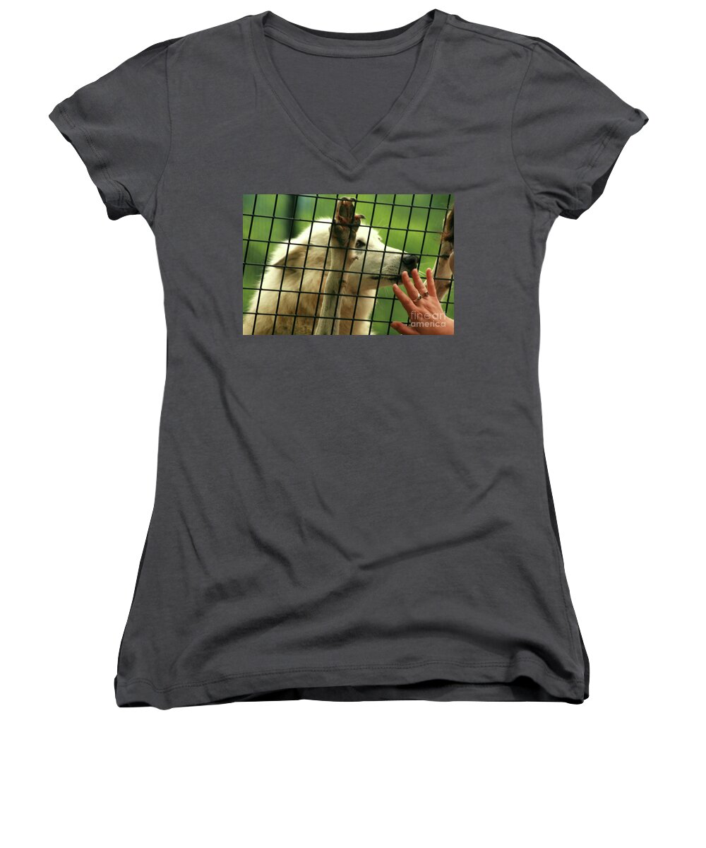 Wolf Women's V-Neck featuring the photograph Touch by Melissa Mim Rieman