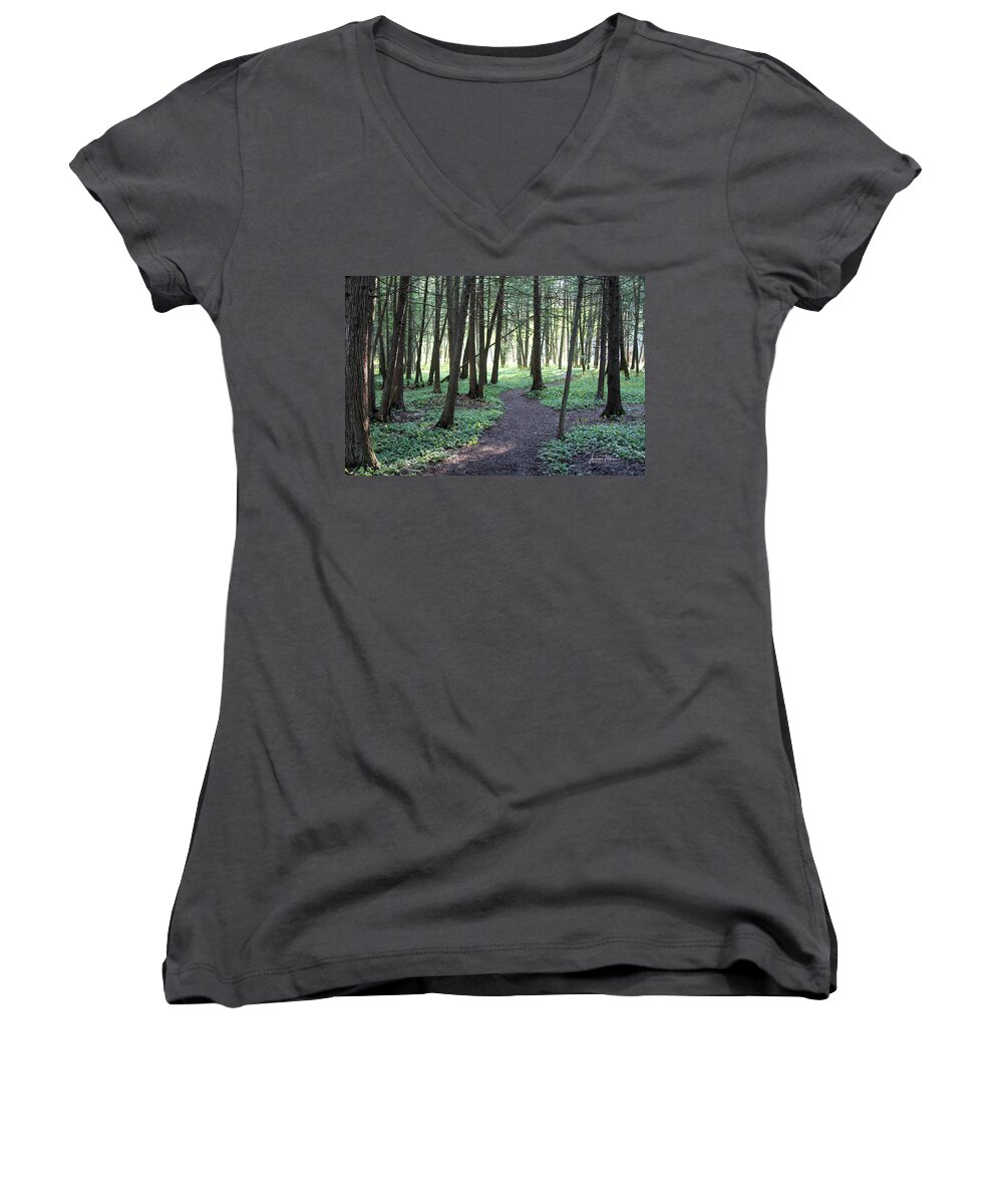 Woods Women's V-Neck featuring the photograph Tranquility by Jackson Pearson