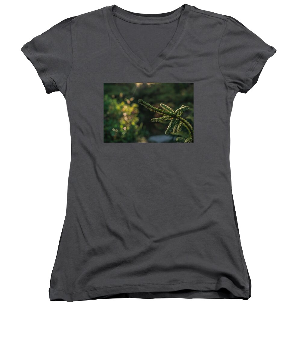 Plant Women's V-Neck featuring the photograph Transformer by Gene Garnace
