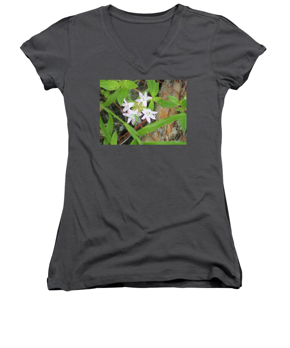 Pink Flowers Women's V-Neck featuring the photograph Transparent flowers by Denise Cicchella