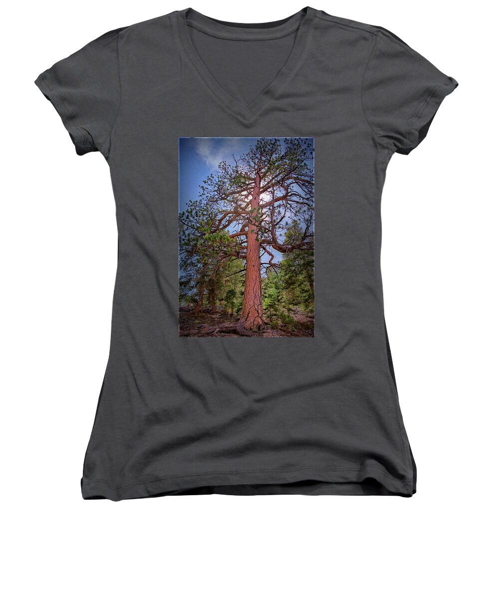 Tree Women's V-Neck featuring the photograph Tree Cali by Paul Vitko