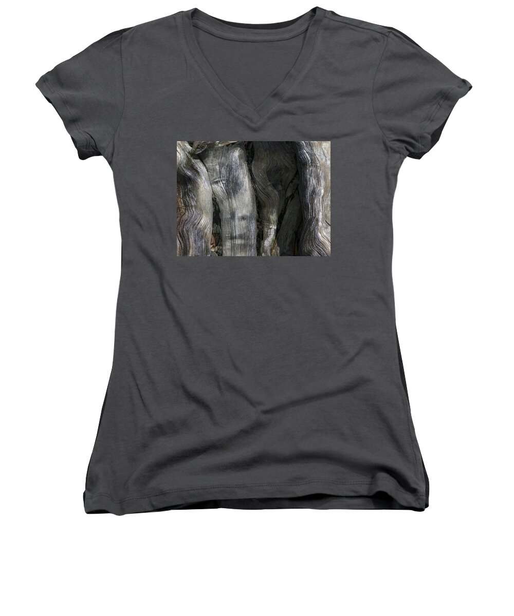 Trees Women's V-Neck featuring the photograph Tree Memories # 20 by Ed Hall