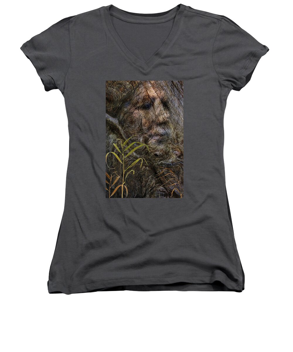 Trees Women's V-Neck featuring the photograph Tree Memories # 39 by Ed Hall