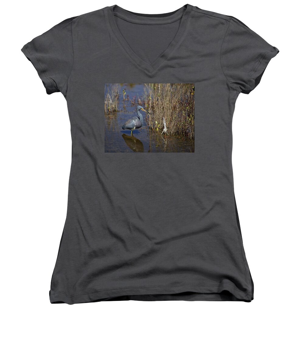 Egretta Tricolor Women's V-Neck featuring the photograph Tricolored Heron wading by Jean Clark