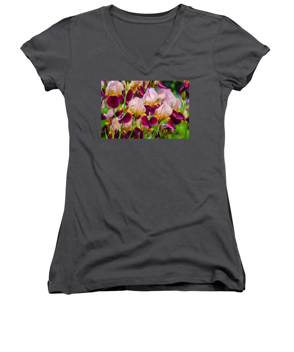 Plant Women's V-Neck featuring the photograph TriColored Irisses by Rainer Kersten