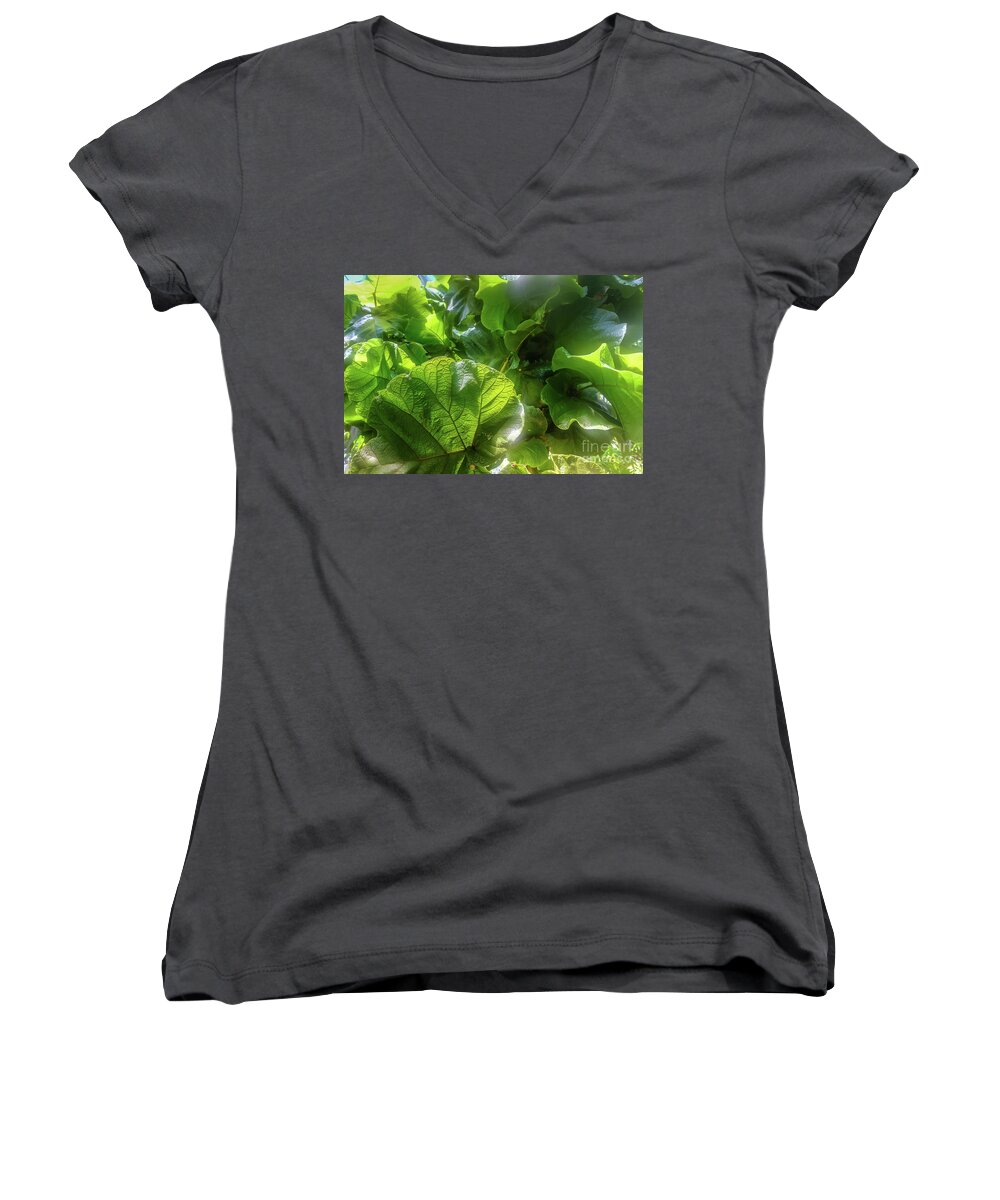 Tropical Forest By Marina Usmanskaya Women's V-Neck featuring the photograph Tropical forest by Marina Usmanskaya
