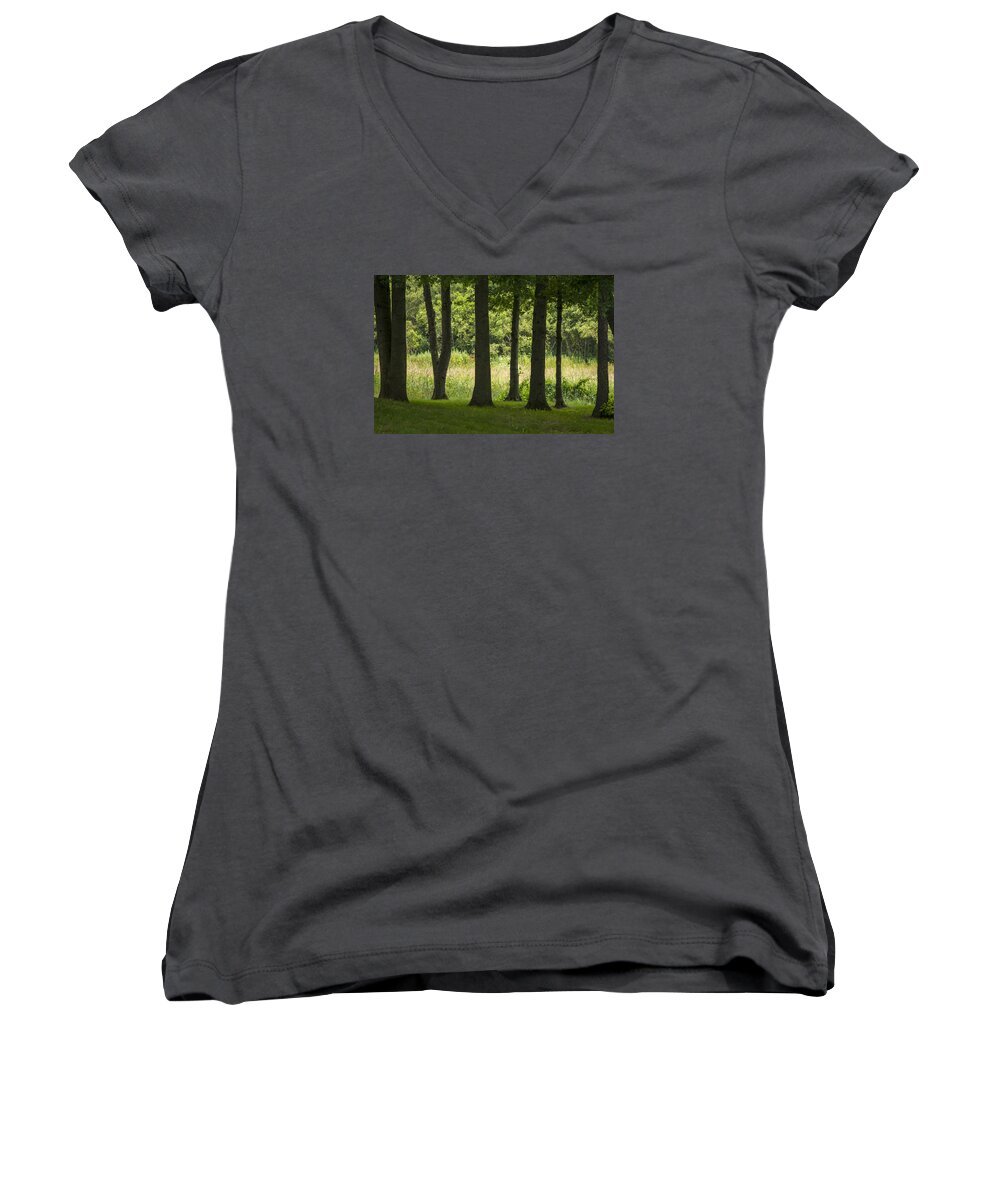 7 Trees Women's V-Neck featuring the photograph Trunks in a row by Brian Green