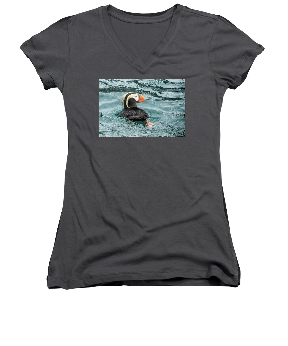 Tufted Puffin Women's V-Neck featuring the photograph Tufted Puffin by Belinda Greb