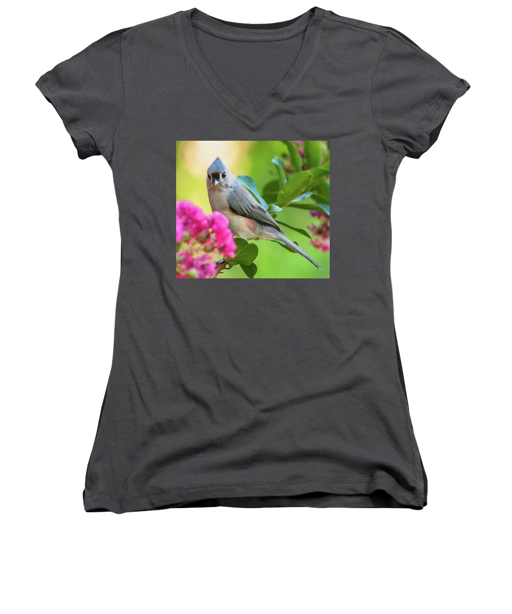 Alexandria Women's V-Neck featuring the photograph Tufted Titmouse In Crepe Myrtle by Jim Moore