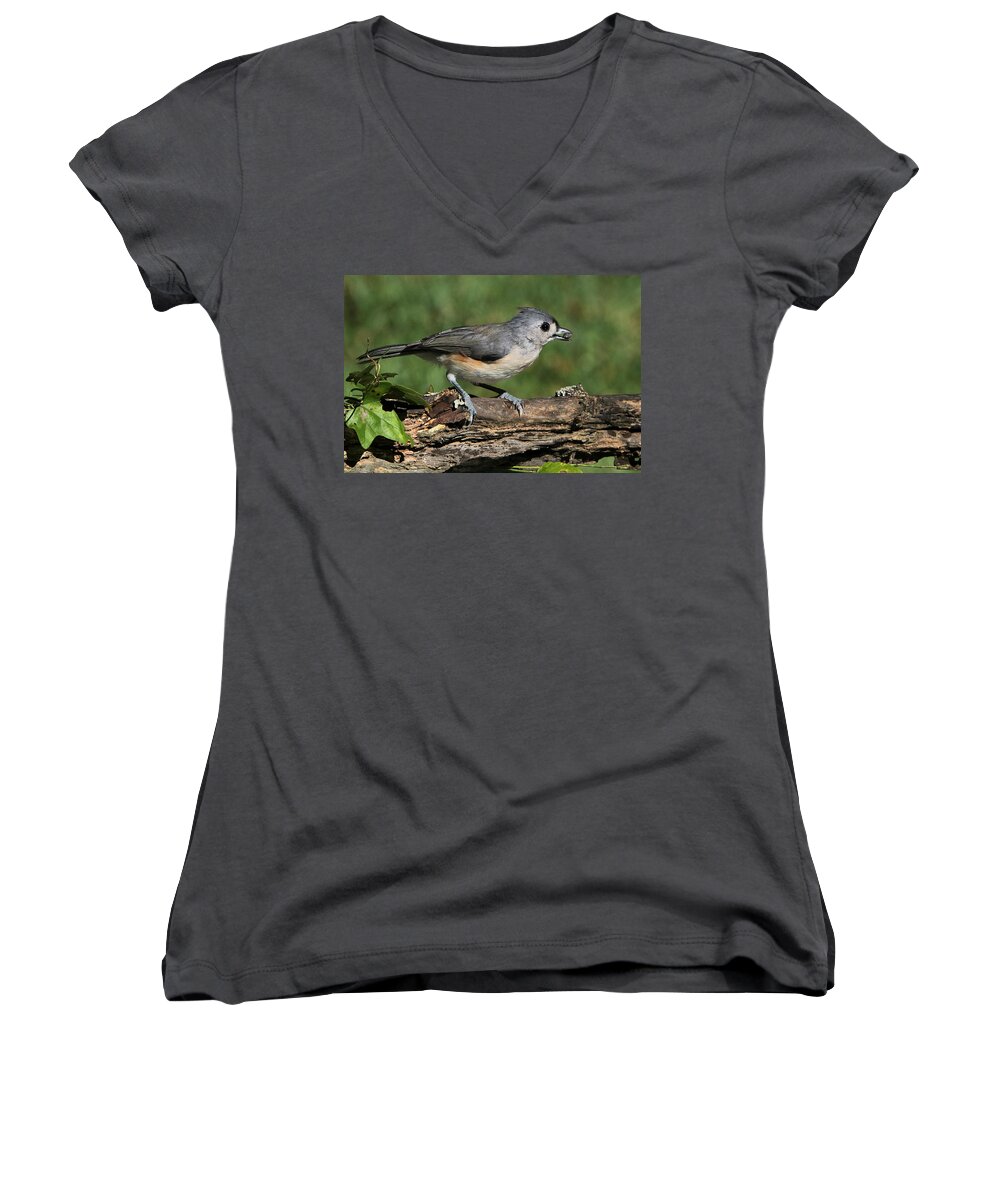 Nature Women's V-Neck featuring the photograph Tufted Titmouse on Tree Branch by Sheila Brown