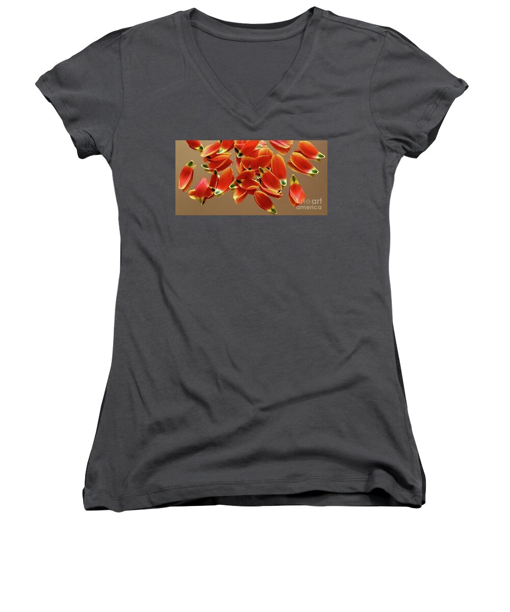 Color Pattern Energy Tulip Women's V-Neck featuring the photograph Tulip Series 1-1 by J Doyne Miller