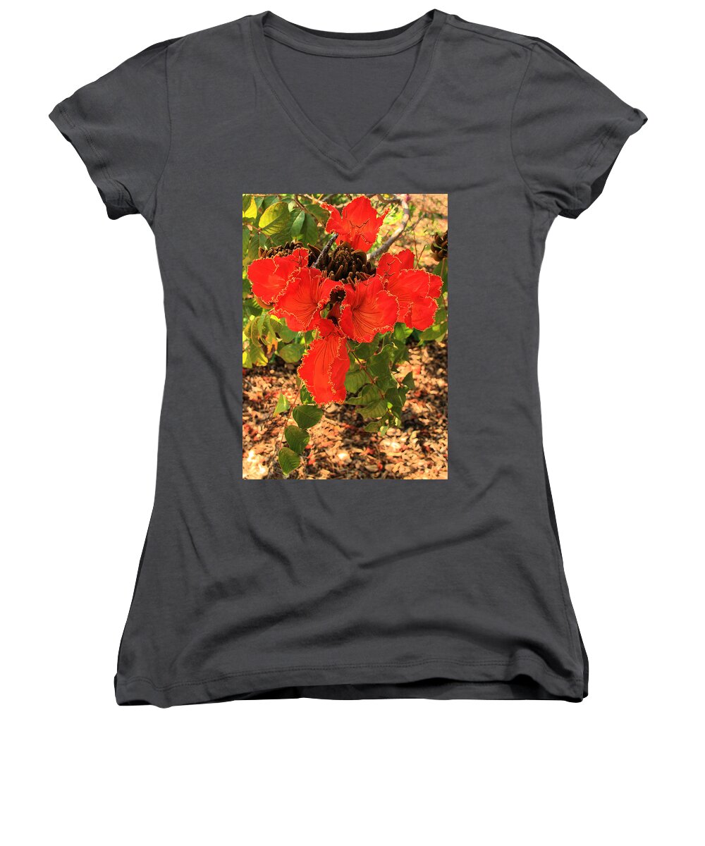 African Women's V-Neck featuring the photograph Tulip Tree Flowers by Viktor Savchenko