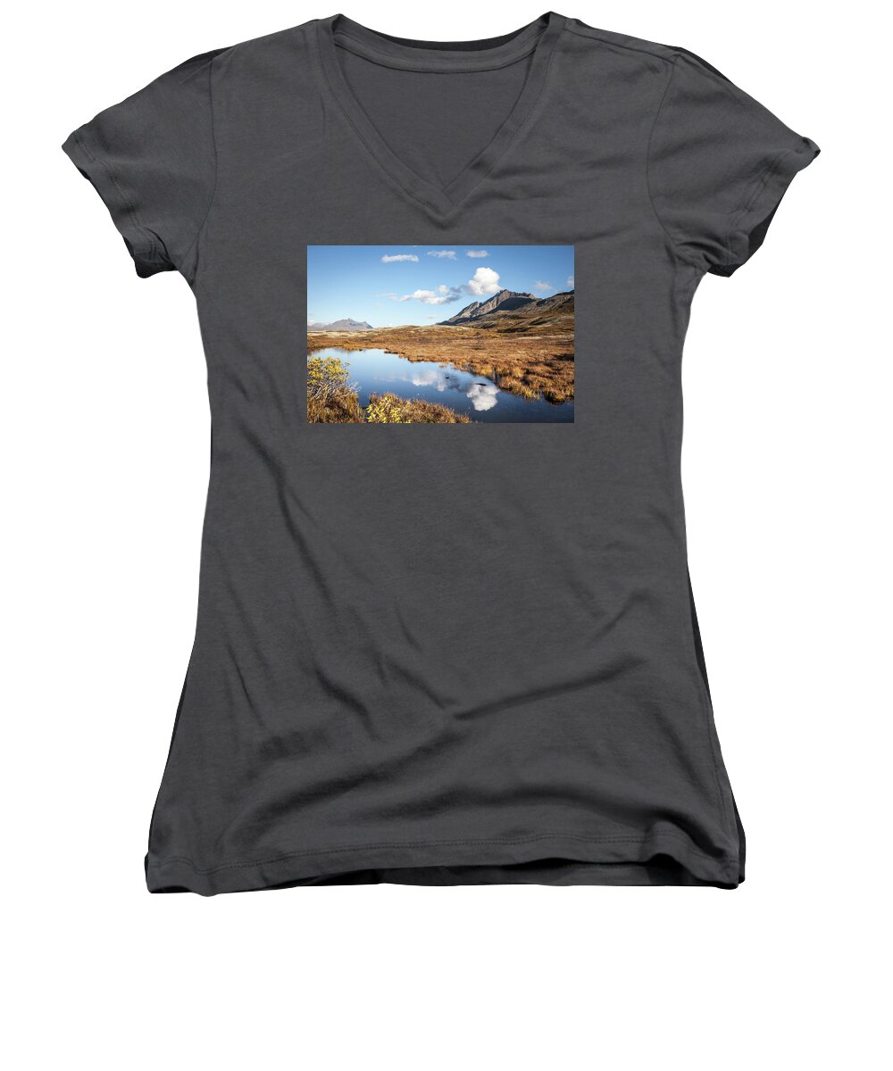 British Columbia Women's V-Neck featuring the photograph Tundra pond reflections in fall by Michele Cornelius