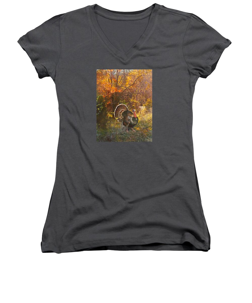 Turkey Women's V-Neck featuring the painting Turkey in the woods by John Dyess
