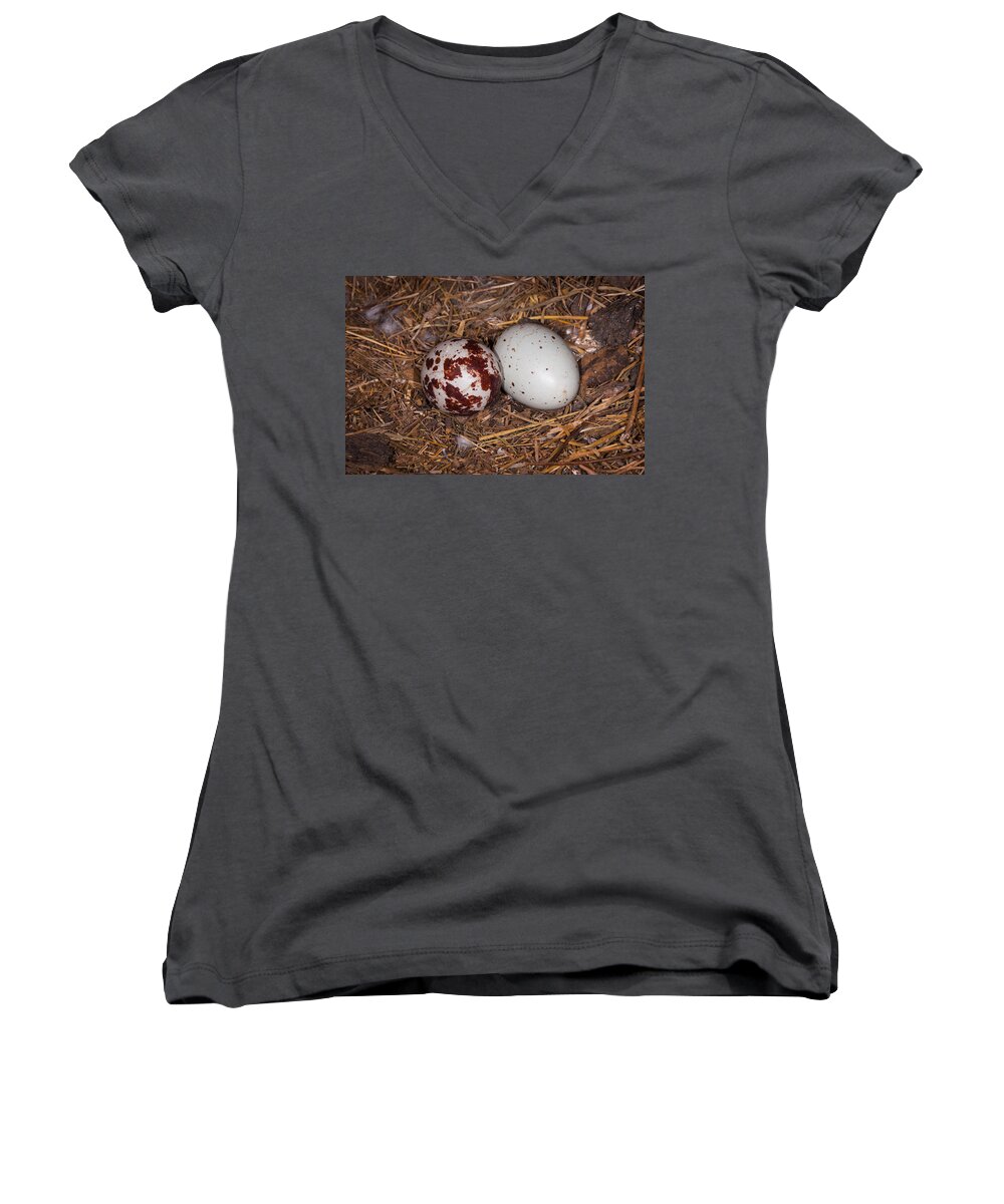 Wildlife Women's V-Neck featuring the photograph Turkey Vulture Eggs by Jeff Phillippi