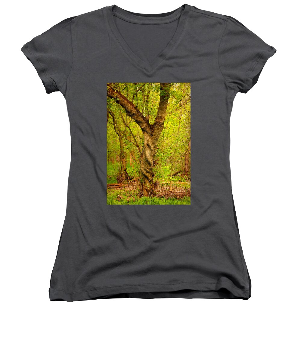 Tree Women's V-Neck featuring the photograph Twisted by Viviana Nadowski
