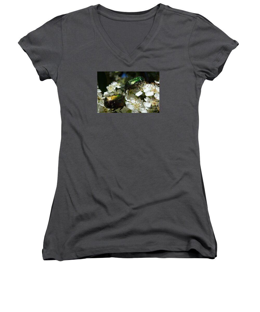 Animals Women's V-Neck featuring the photograph Two Scarabs Metallic Green by Jean Bernard Roussilhe
