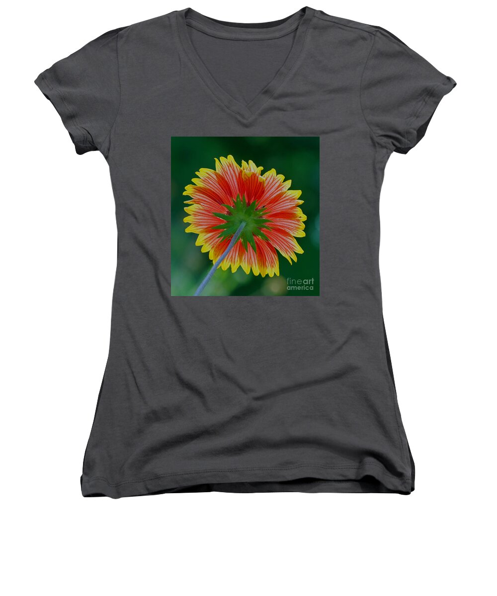 Flower Women's V-Neck featuring the photograph Under your spell by Larry Nieland