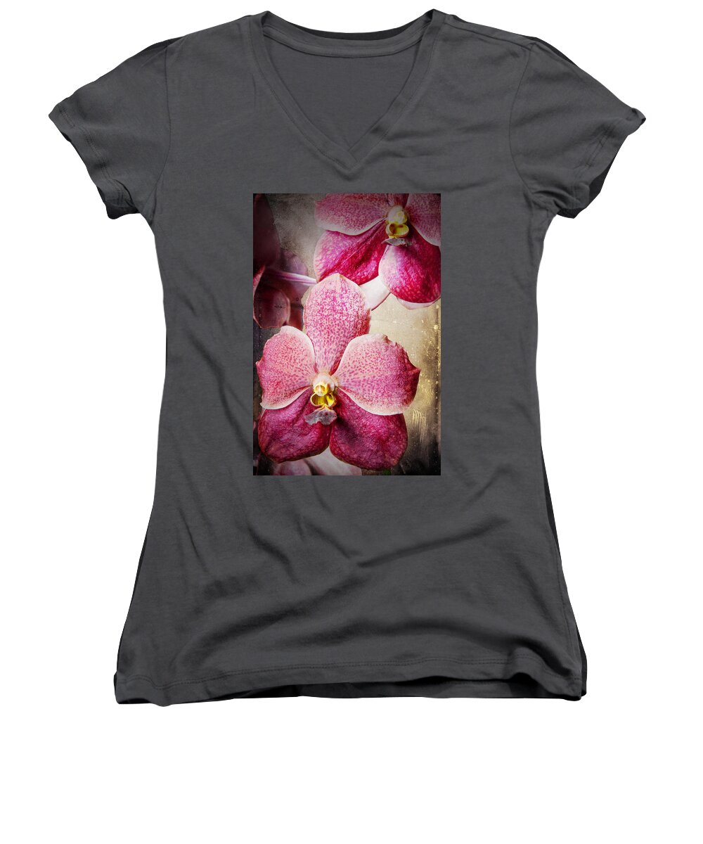 Vanda Women's V-Neck featuring the photograph Vanda orchid 3036A by Rudy Umans