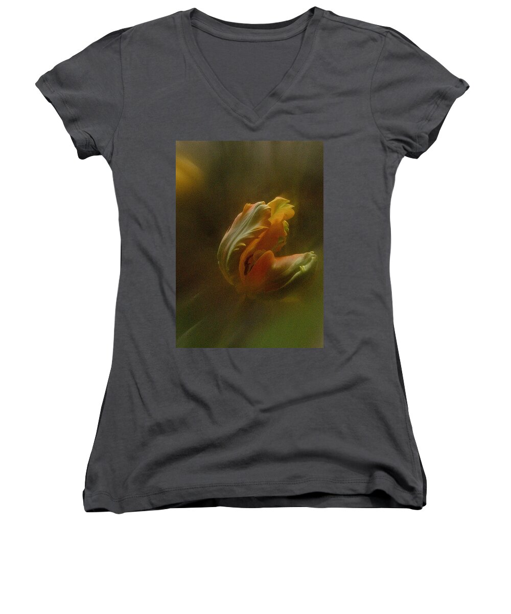 Tulip Women's V-Neck featuring the photograph Vintage Tulip March 2017 by Richard Cummings