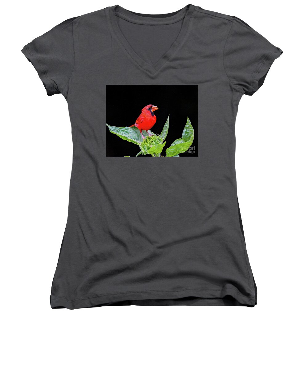 Nature Women's V-Neck featuring the photograph Waiting by DB Hayes