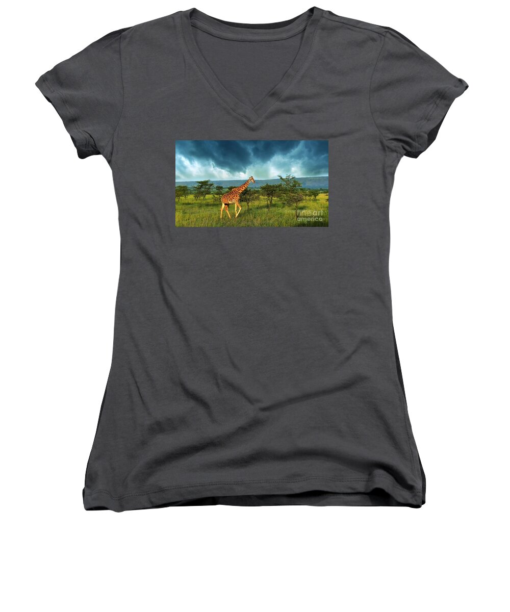 Giraffe Women's V-Neck featuring the photograph Walking Alone by Charuhas Images