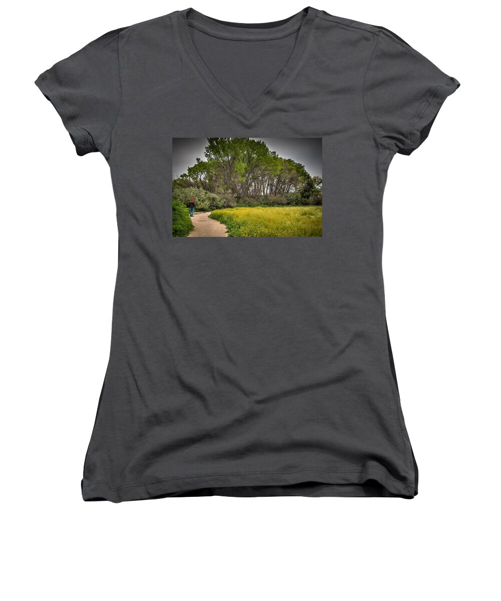 Agriculture Women's V-Neck featuring the photograph Walking Path in Tall Oak Trees in Spring by Connie Cooper-Edwards