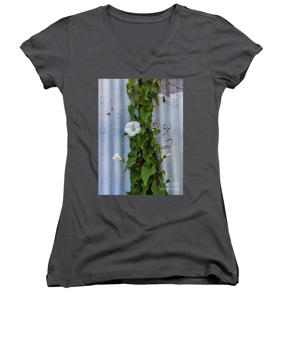Astoria Women's V-Neck featuring the photograph Wall Flower by Patti Schulze