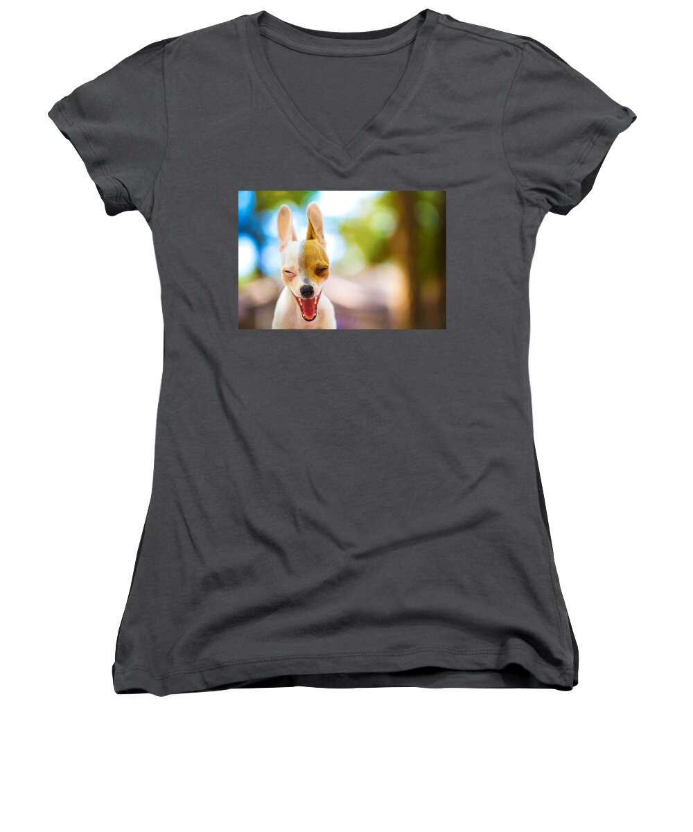 Puppy Women's V-Neck featuring the photograph Wassup? by TC Morgan