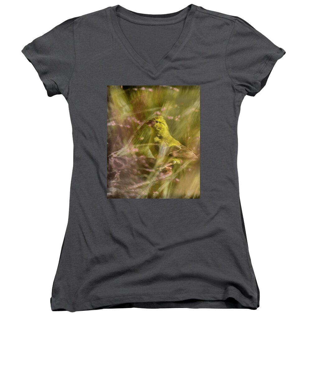 Gold Finch Women's V-Neck featuring the photograph Watch What You Eat.... by Paul Vitko