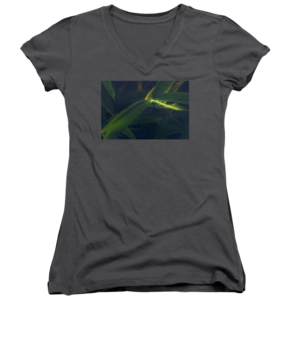 Dew Women's V-Neck featuring the photograph Water Catcher by Gene Garnace
