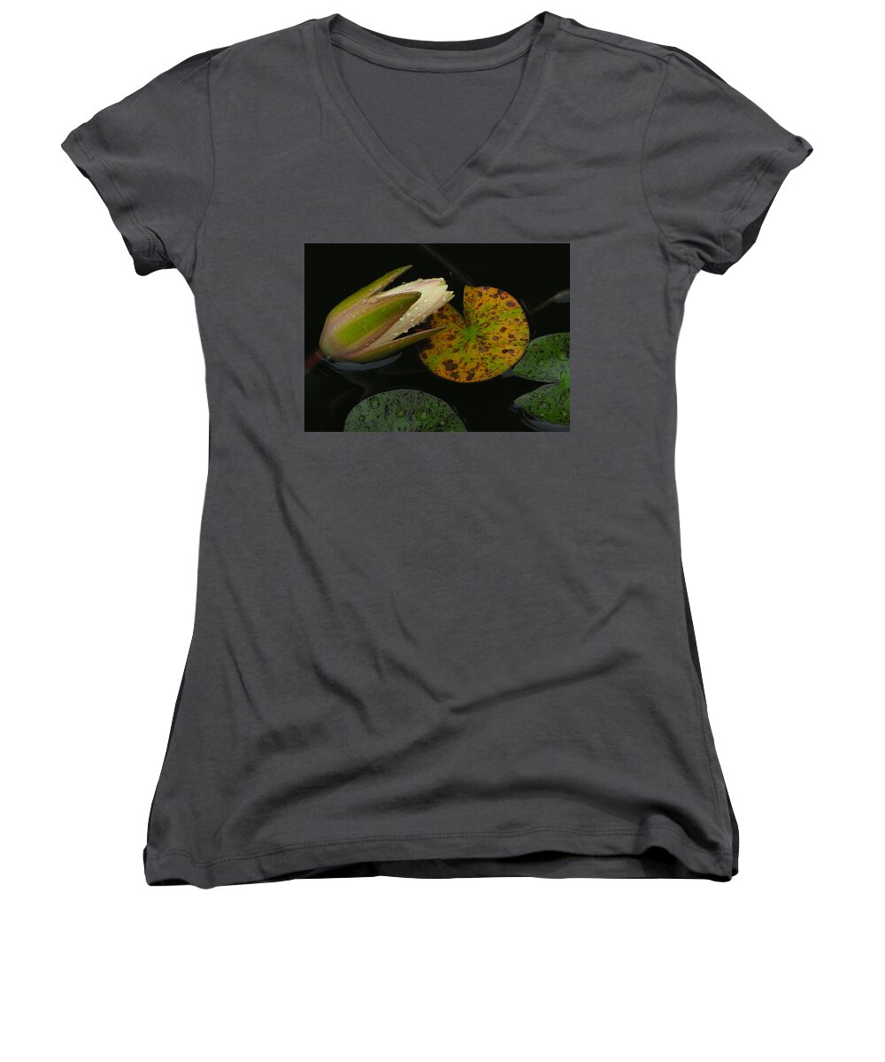 Rain Women's V-Neck featuring the photograph Wet Lily by Farol Tomson