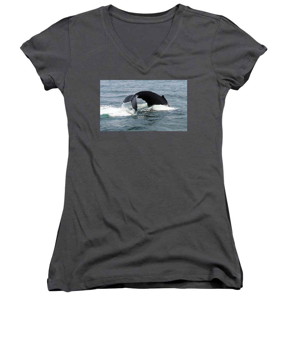Whales Women's V-Neck featuring the photograph Whale of a Tail by Charles HALL
