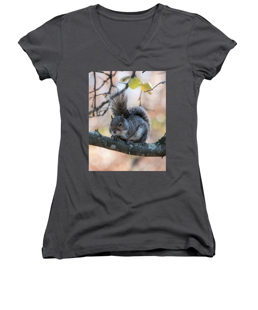 Animal Women's V-Neck featuring the photograph What's Up? by M Three Photos