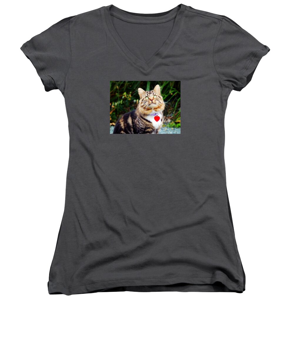 Cat Women's V-Neck featuring the photograph What's Up There by Zinvolle Art