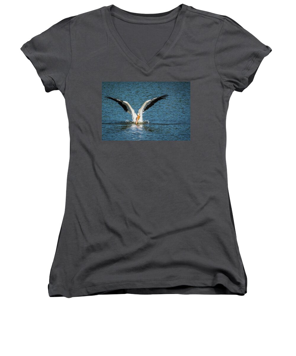 Pelican Women's V-Neck featuring the photograph White American Pelican by Pamela Williams
