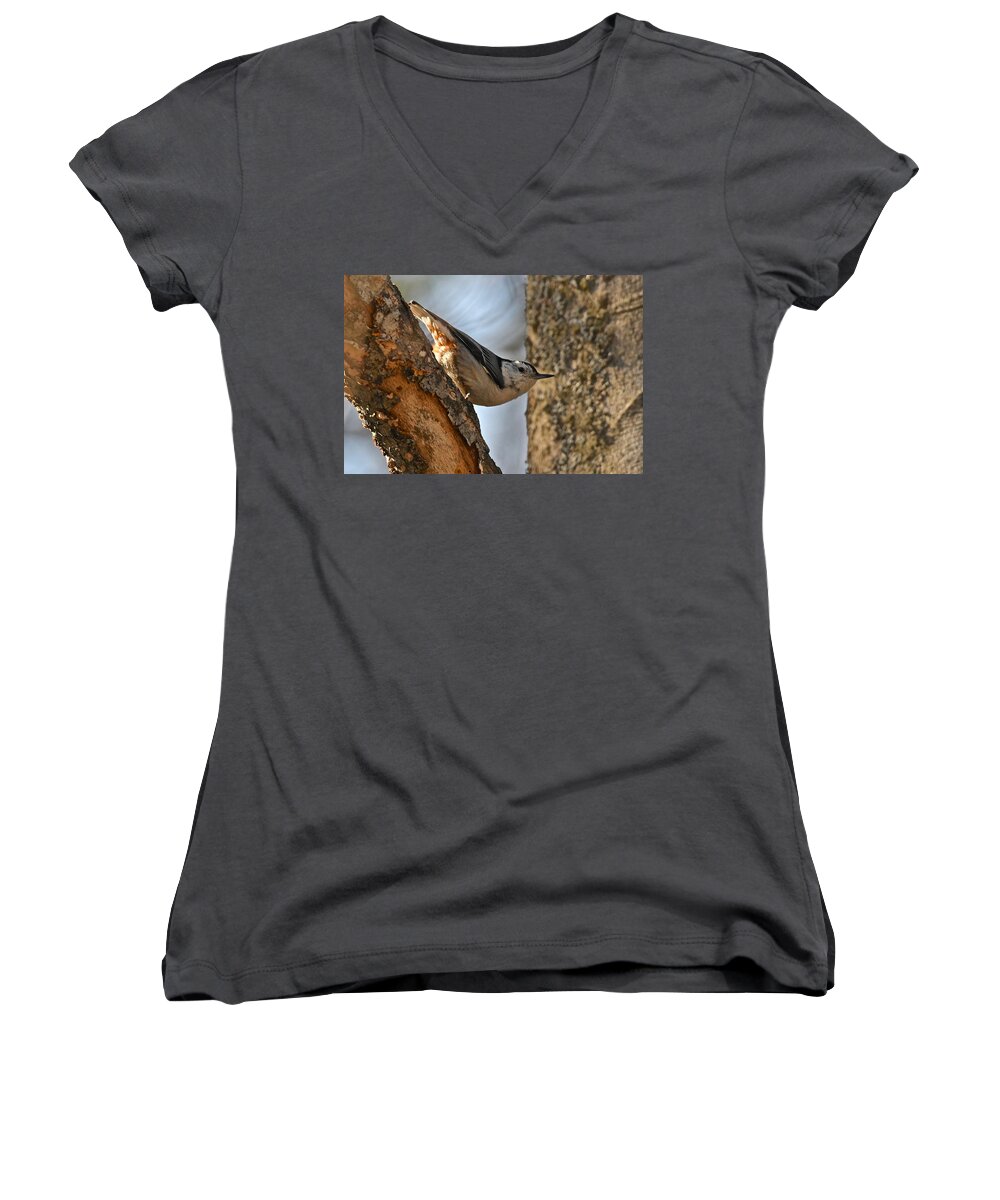 Bird Women's V-Neck featuring the photograph White Breasted Nuthatch 370 by Michael Peychich