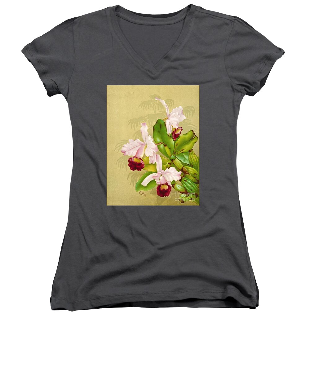 White House Orchid 1892 Women's V-Neck featuring the photograph White House Orchid 1892 by Padre Art