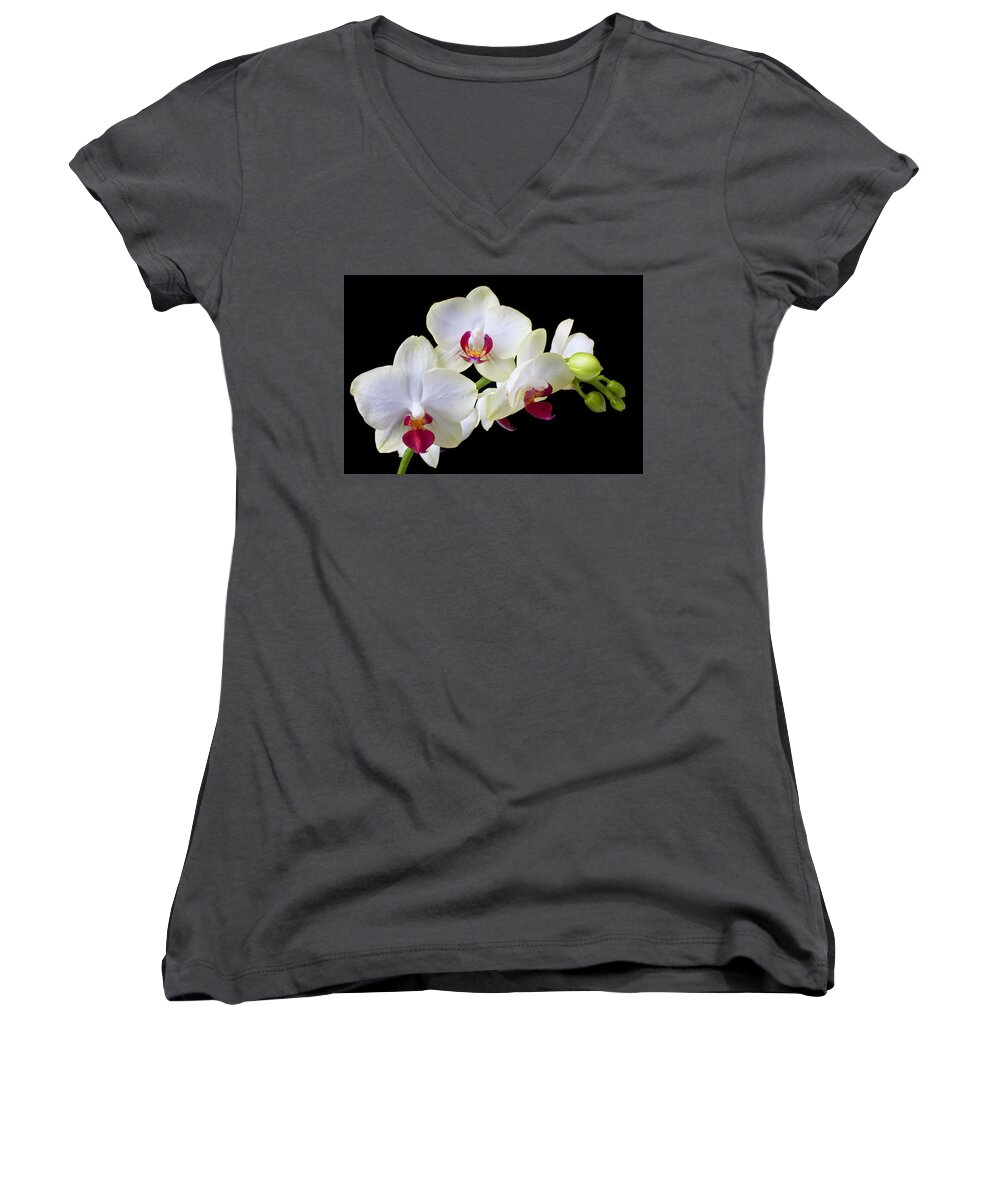 White Orchids Women's V-Neck featuring the photograph White Orchids by Garry Gay