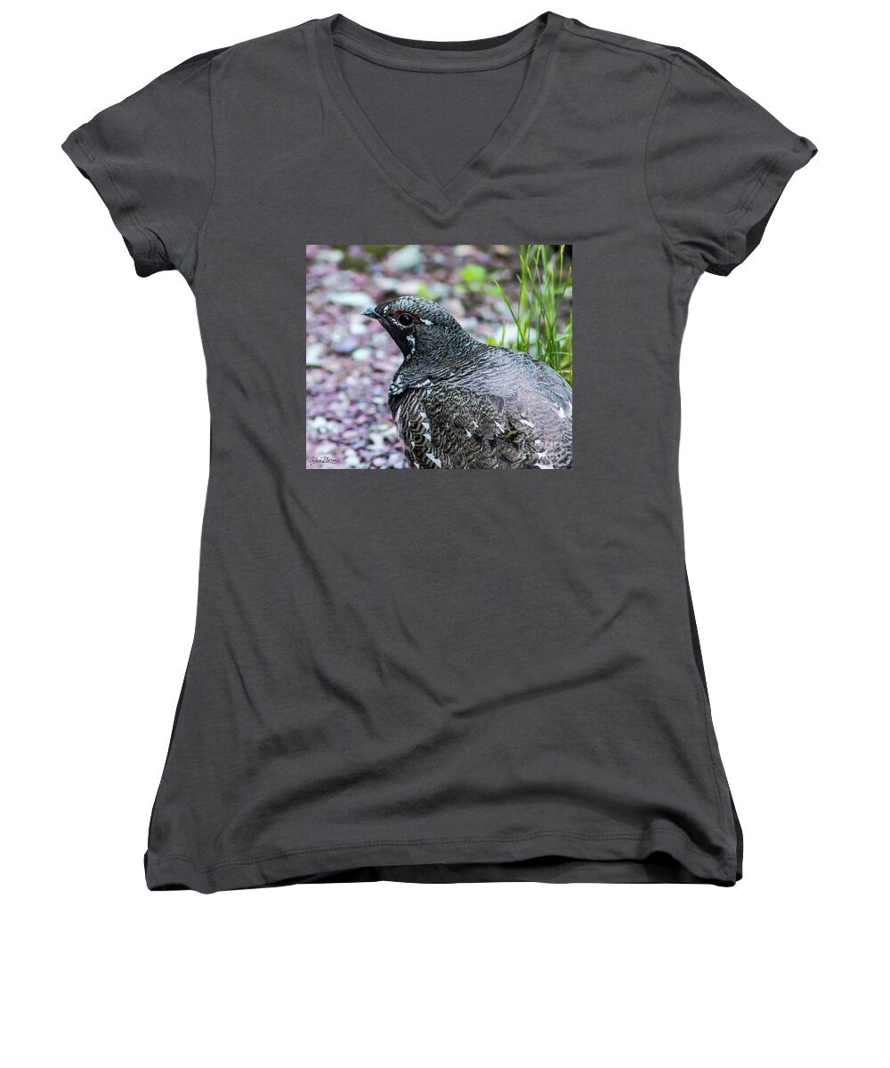 Wildlife Women's V-Neck featuring the photograph White-Tailed Ptarmigan by Adam Morsa