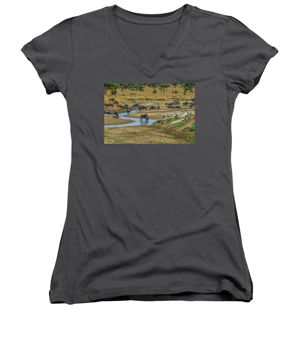 Africa Women's V-Neck featuring the photograph Wildebeest in the Tarangire by Marilyn Burton