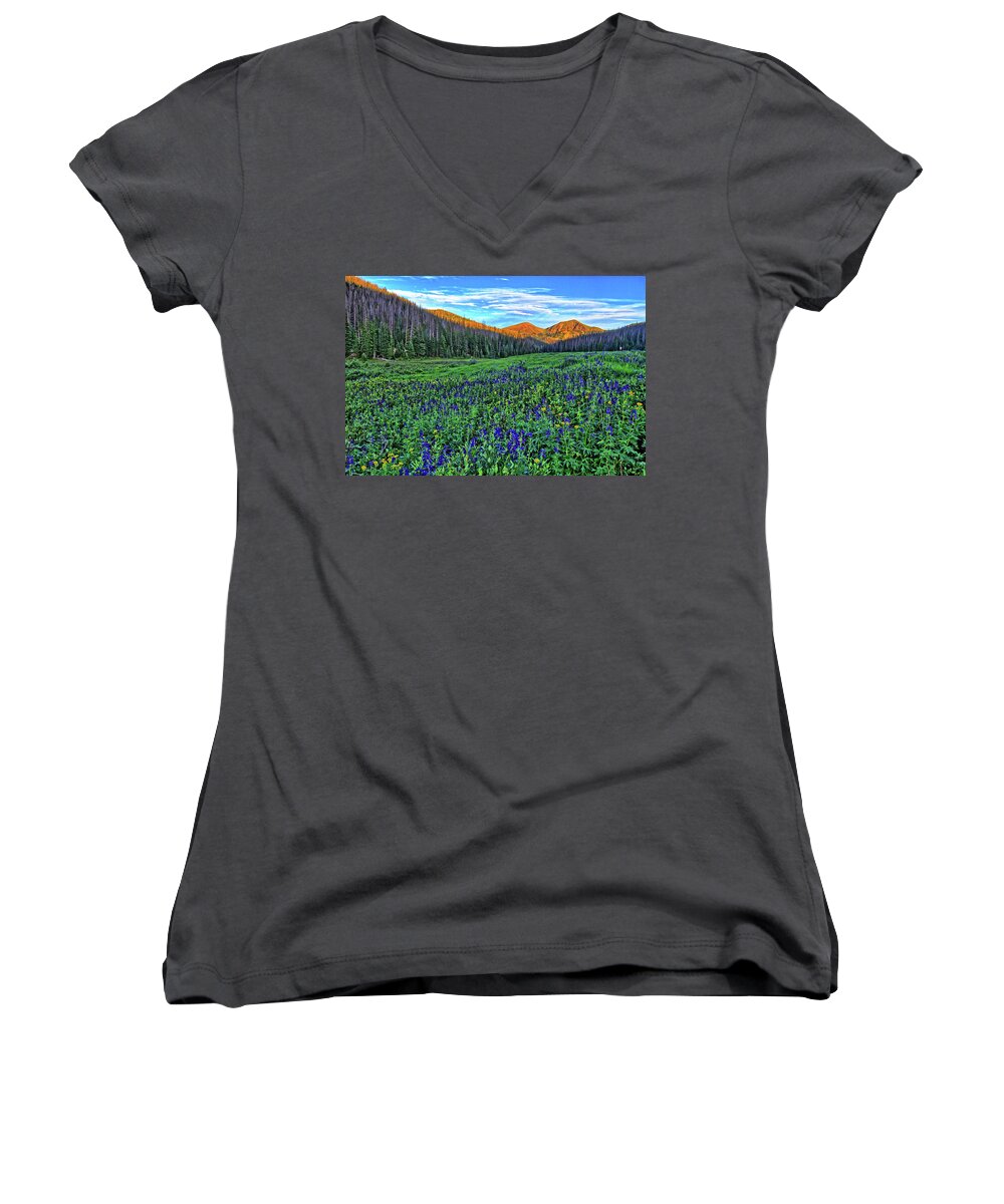 Wildflowers Women's V-Neck featuring the photograph Wildflower Park by Scott Mahon