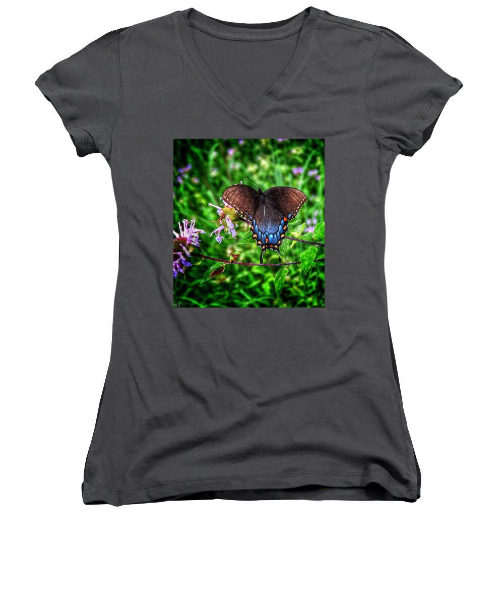 Spice Bush Swallowtail Women's V-Neck featuring the photograph Wings of Fancy by Kathi Isserman