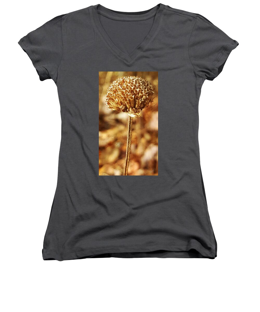 Bee Balm Women's V-Neck featuring the photograph Winter Bee Balm by Bruce Carpenter