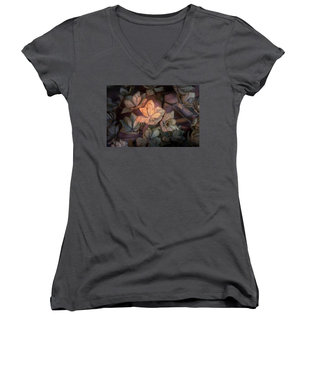 Flower Women's V-Neck featuring the photograph Winter Glow by Allin Sorenson